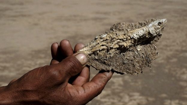 151223132404_pez_sequia_624x351_reuters_nocredit